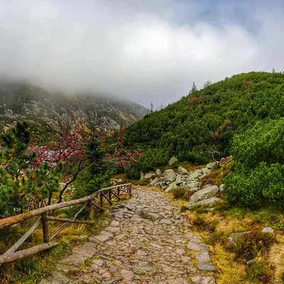 UTMB – Chamonix